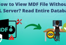 how to view MDF file without SQL server