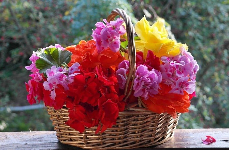 flower basket