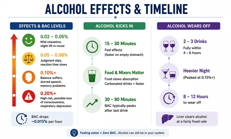 How long does alcohol stay in your system and how long its effects can last